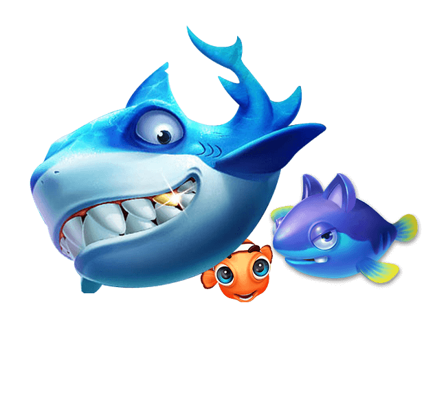 伊普斯维奇官方：和40岁右后卫阿什利