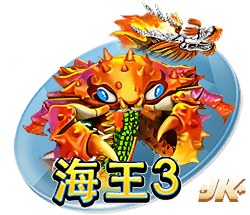私密视频播放器客户端